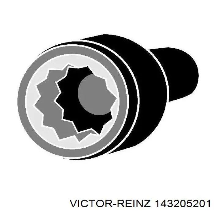 143205201 Victor Reinz болт головки блока циліндрів, гбц