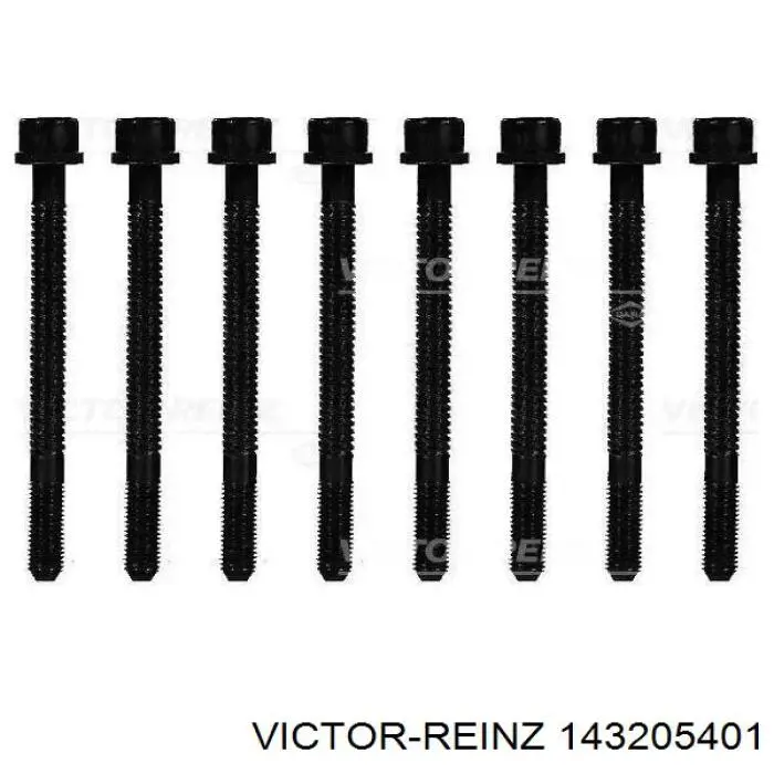 Купити 143205401 Victor Reinz Болт гбц