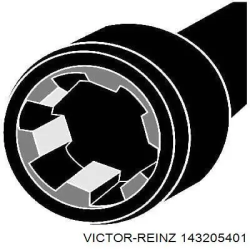 143205401 Victor Reinz болт головки блока циліндрів, гбц