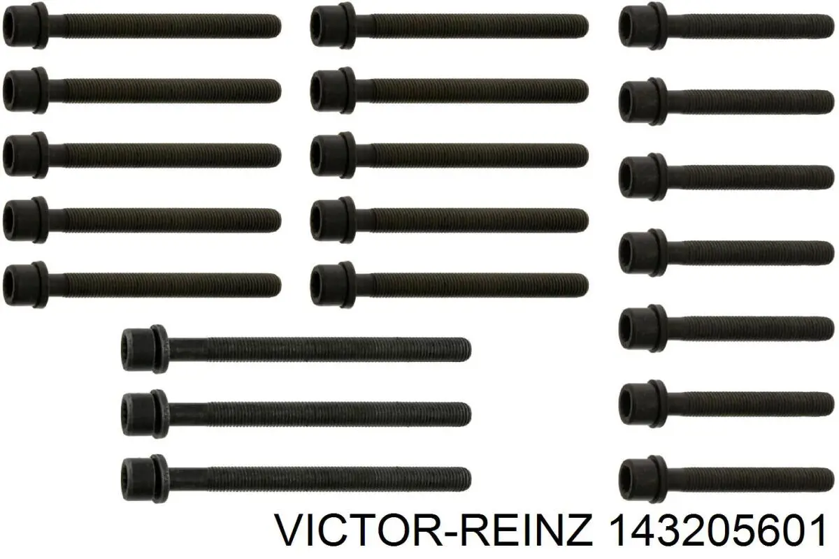 143205601 Victor Reinz Болт кріплення головки блоку циліндрів