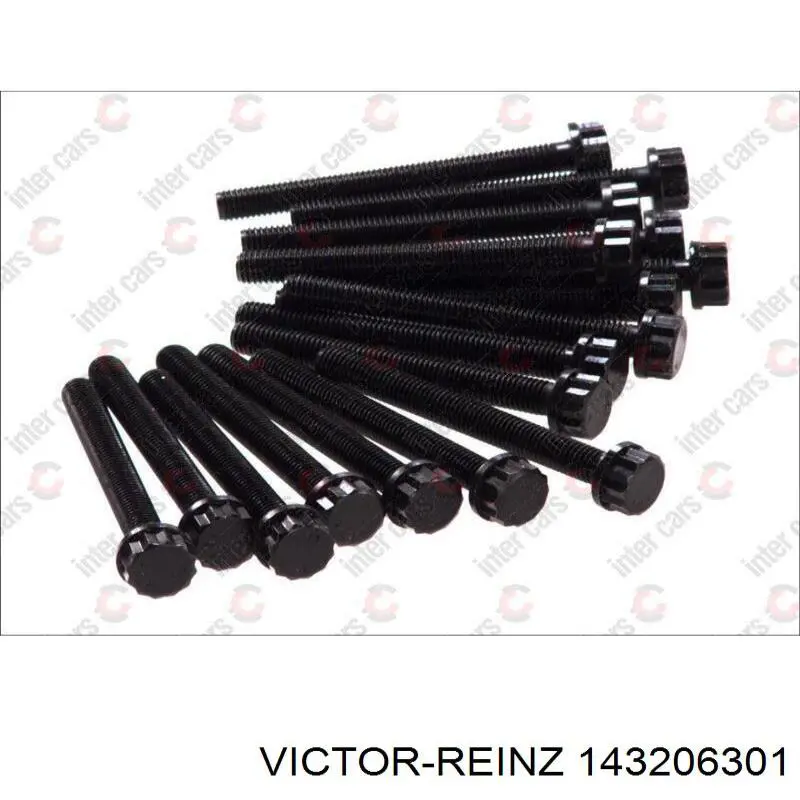 Купити 143206301 Victor Reinz Болт гбц