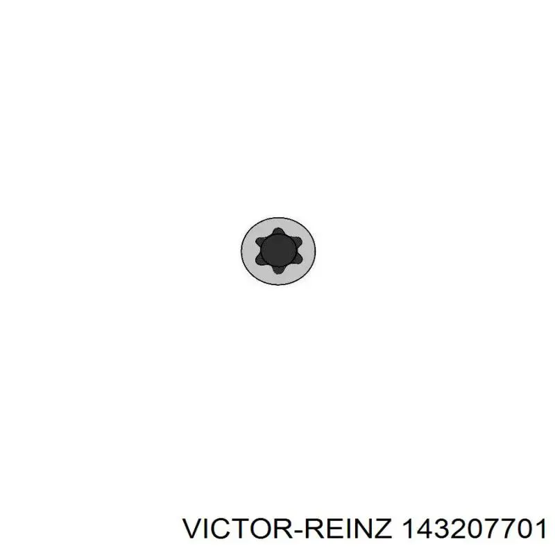 Купити 143207701 Victor Reinz Болт гбц
