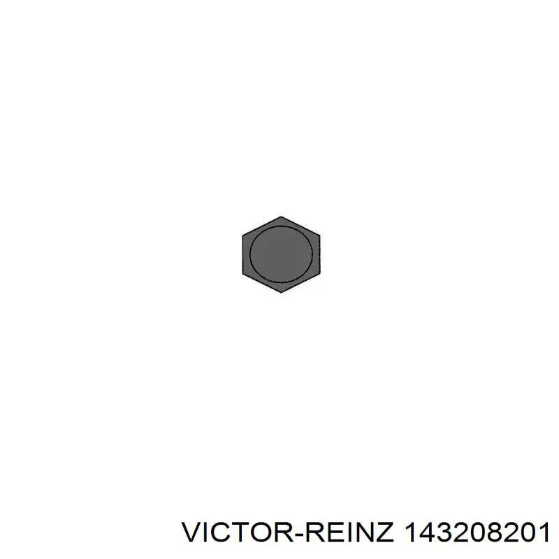 143208201 Victor Reinz Болт кріплення головки блоку циліндрів