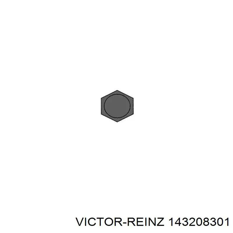 Купити 143208301 Victor Reinz Болт гбц