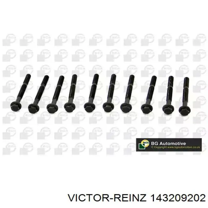 Купити 143209202 Victor Reinz Болт гбц