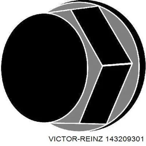 143209301 Victor Reinz болт головки блока циліндрів, гбц
