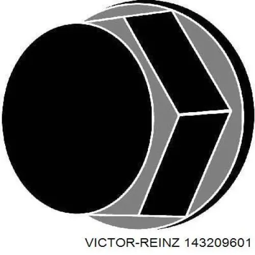 Болт головки блока циліндрів, ГБЦ Victor Reinz 143209601 ціна, від 43.07 USD