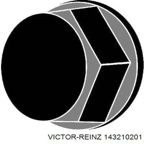 143210201 Victor Reinz болт головки блока циліндрів, гбц