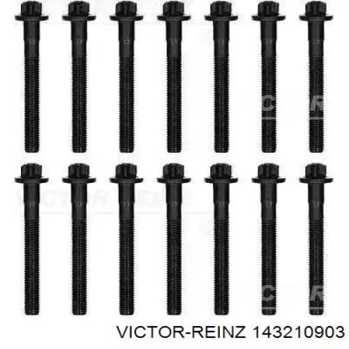 Купити 143210903 Victor Reinz Болт гбц