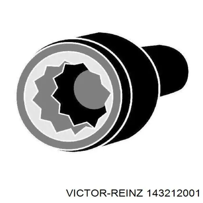 Купити 143212001 Victor Reinz Болт гбц