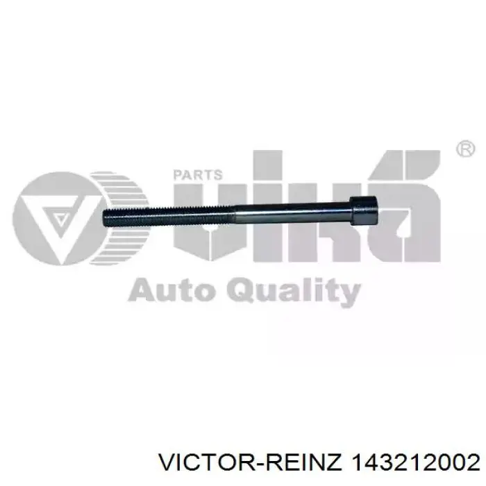 Купити 143212002 Victor Reinz Болт гбц