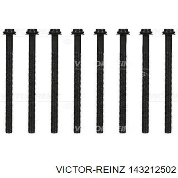 Болт головки блока циліндрів, ГБЦ Victor Reinz 143212502 ціна, від 19.58 USD