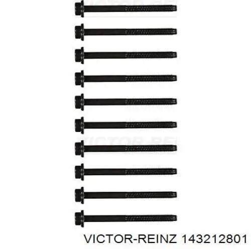 Купити 143212801 Victor Reinz Болт гбц