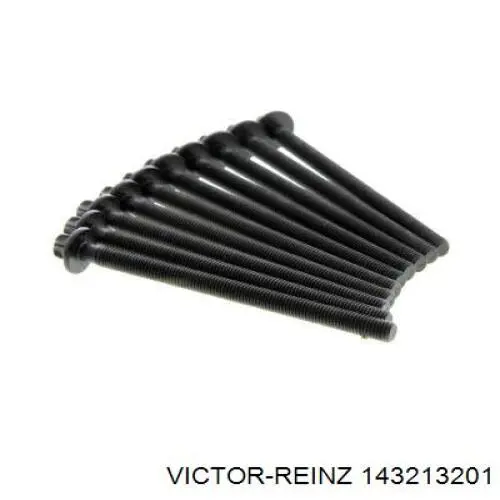 143213201 Victor Reinz Болт кріплення головки блоку циліндрів