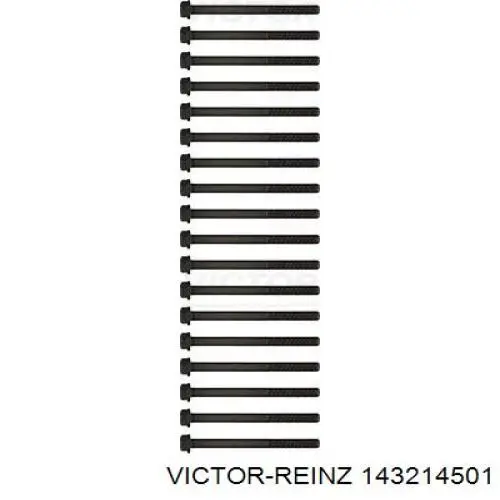 Купити 143214501 Victor Reinz Болт гбц