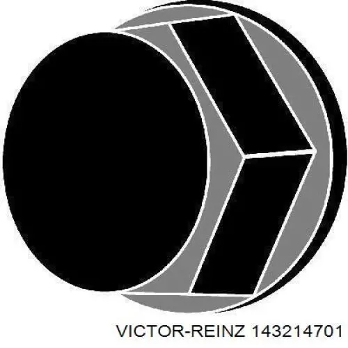 143214701 Victor Reinz болт головки блока циліндрів, гбц