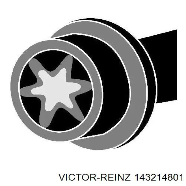 Купити 143214801 Victor Reinz Болт гбц