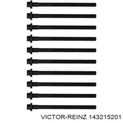 Купити 143215201 Victor Reinz Болт гбц