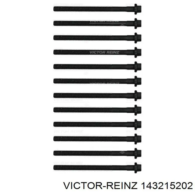Купити 143215202 Victor Reinz Болт гбц