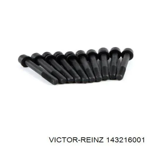 Купити 143216001 Victor Reinz Болт гбц