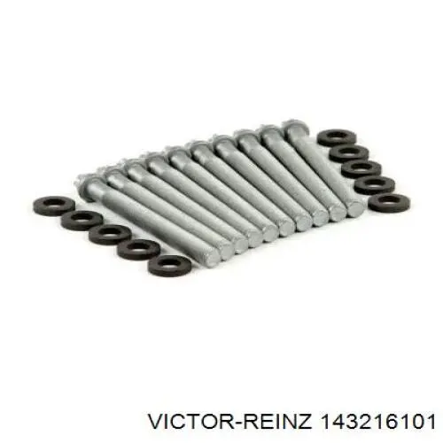 Купити 143216101 Victor Reinz Болт гбц