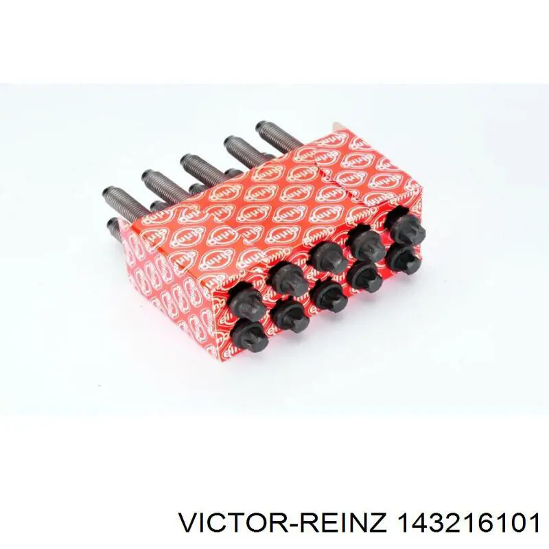 Болт головки блока циліндрів Victor Reinz 143216101
