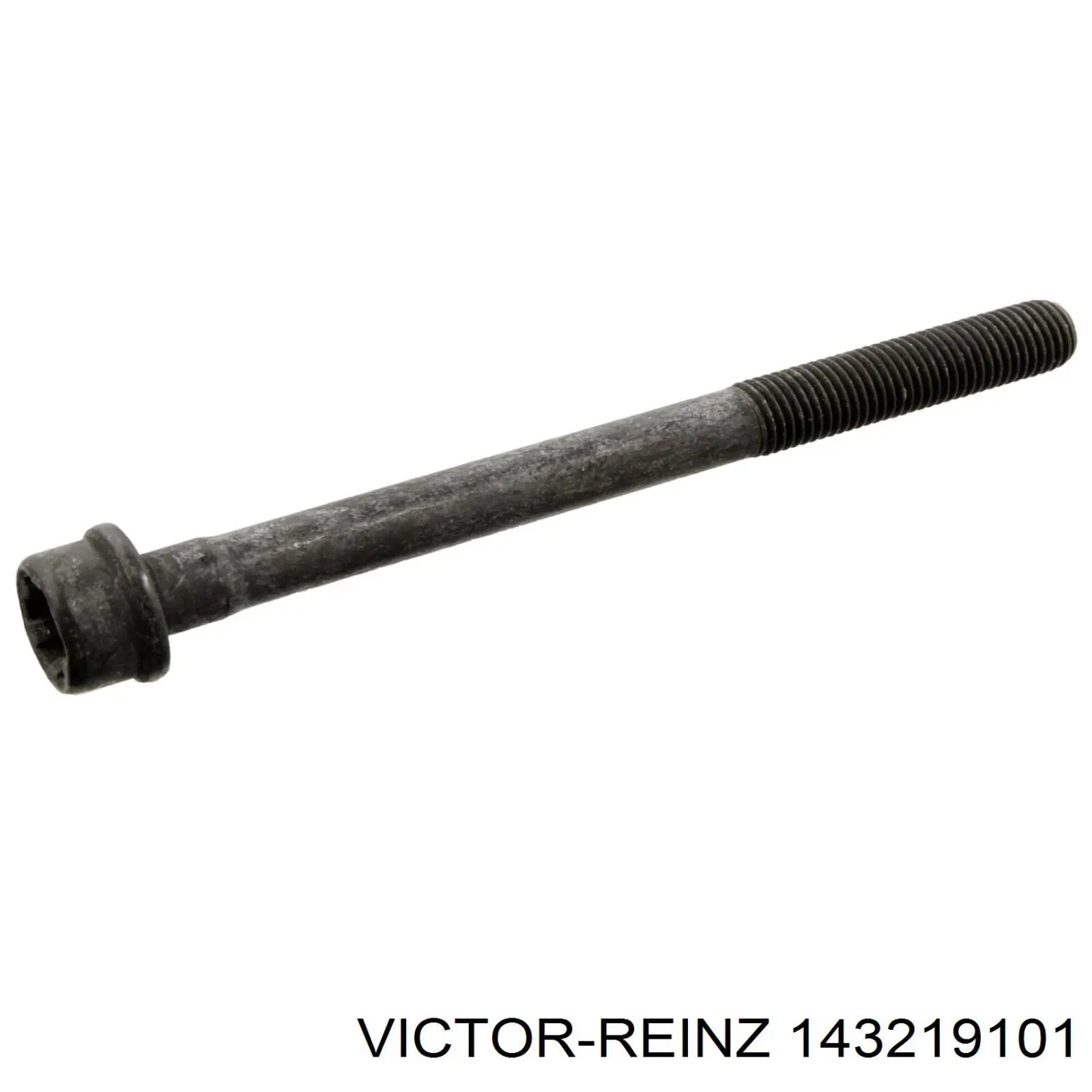 143219101 Victor Reinz болт головки блока циліндрів, гбц