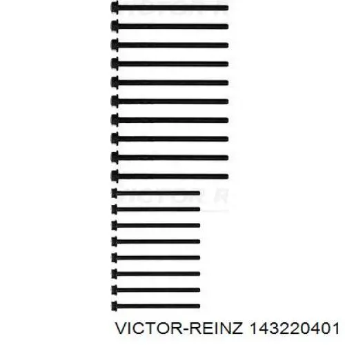 Болт ГБЦ 143220401 Victor Reinz