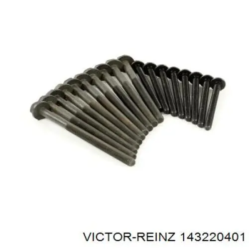 Болт головки блока циліндрів Victor Reinz 143220401
