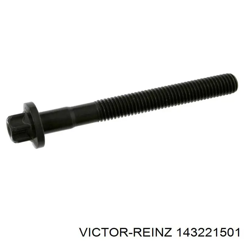 Болт головки блока циліндрів, ГБЦ Victor Reinz 143221501 ціна, від 47.84 USD