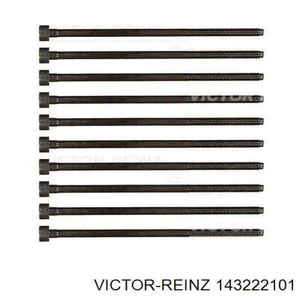 Купити 143222101 Victor Reinz Болт гбц