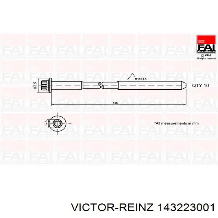 Купити 143223001 Victor Reinz Болт гбц