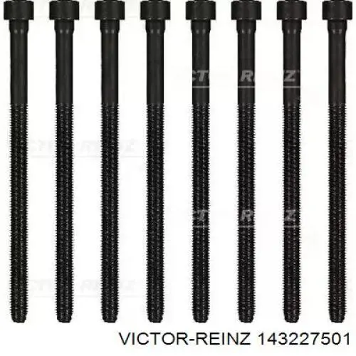 Купити 143227501 Victor Reinz Болт гбц