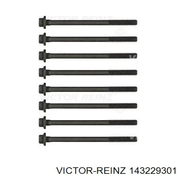 143229301 Victor Reinz Болт кріплення головки блоку циліндрів