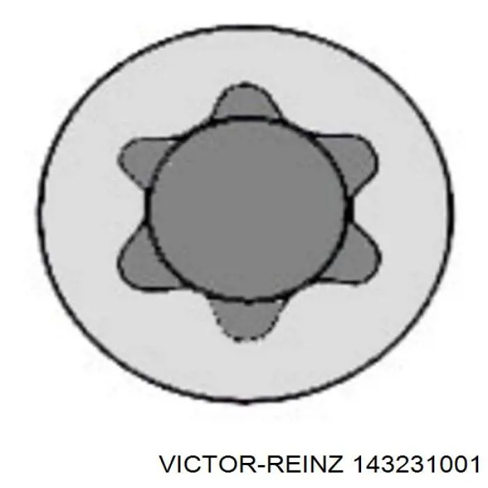 Болт головки блока циліндрів, ГБЦ Victor Reinz 143231001 ціна, від 27.39 USD