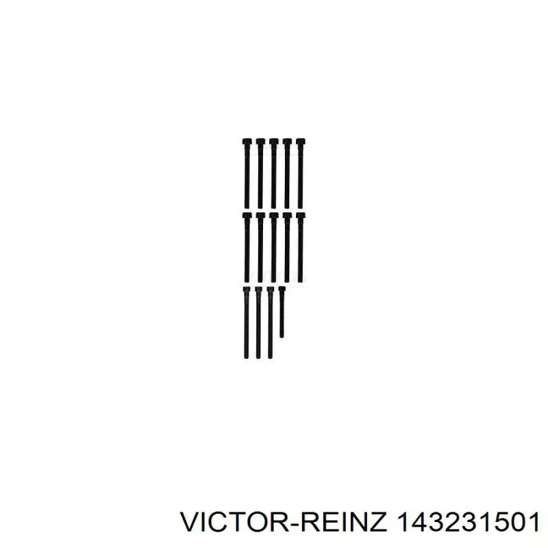 143231501 Victor Reinz болт головки блока циліндрів, гбц