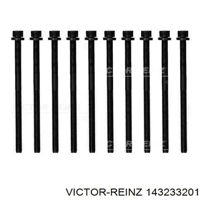 Купити 143233201 Victor Reinz Болт гбц