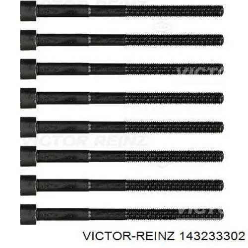 Болт головки блока циліндрів, ГБЦ Victor Reinz 143233302 ціна, від 19.75 USD