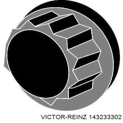 Болт головки блока циліндрів, ГБЦ 143233302 Victor Reinz