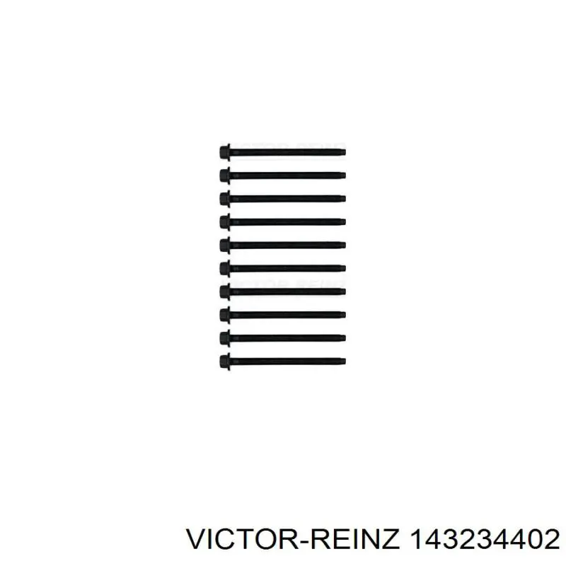 Болт головки блока циліндрів, ГБЦ 143234402 Victor Reinz