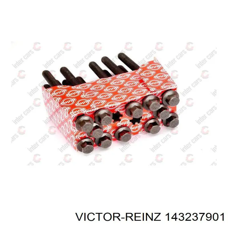Купити 143237901 Victor Reinz Болт гбц