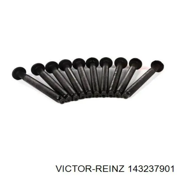 Болт ГБЦ 143237901 Victor Reinz