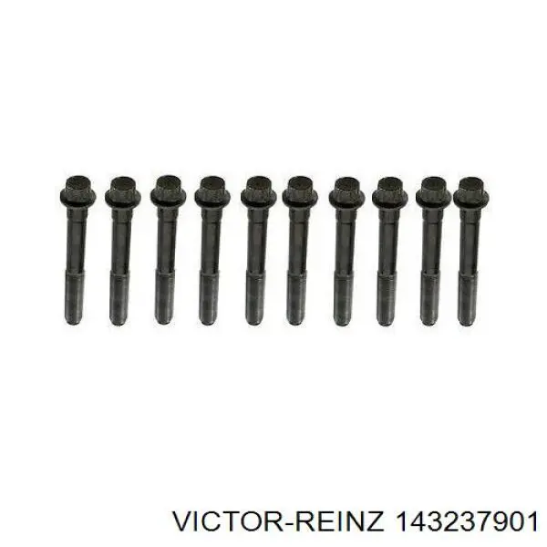 Болт головки блока циліндрів Victor Reinz 143237901