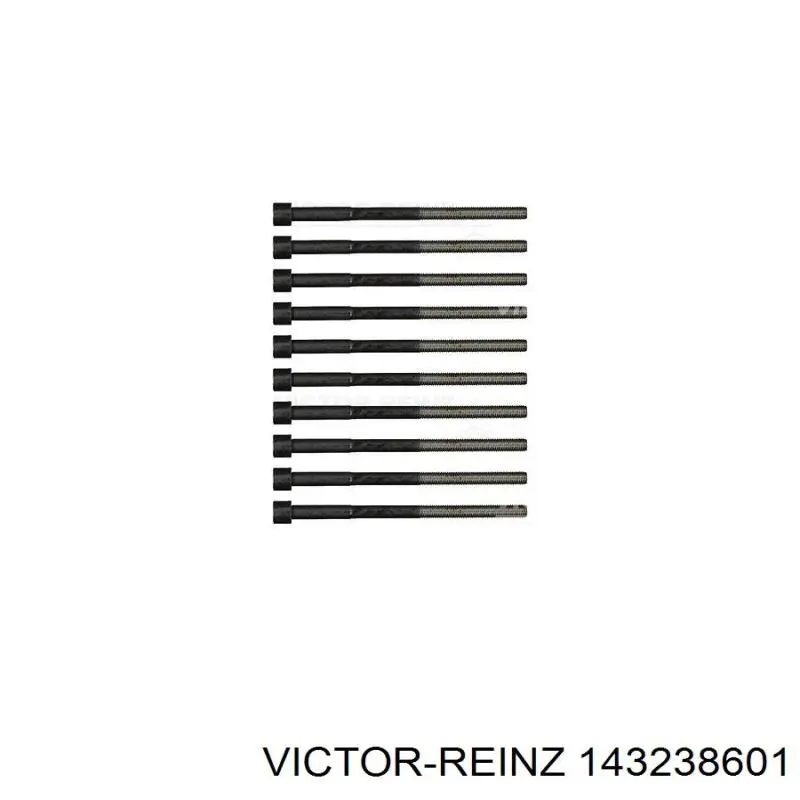 Болт головки блока циліндрів, ГБЦ Victor Reinz 143238601 ціна, від 38.76 USD