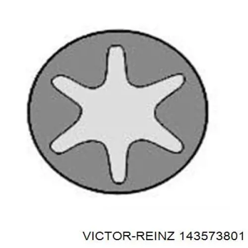 Болт головки блока циліндрів, ГБЦ Victor Reinz 143573801 ціна, від 35.67 USD