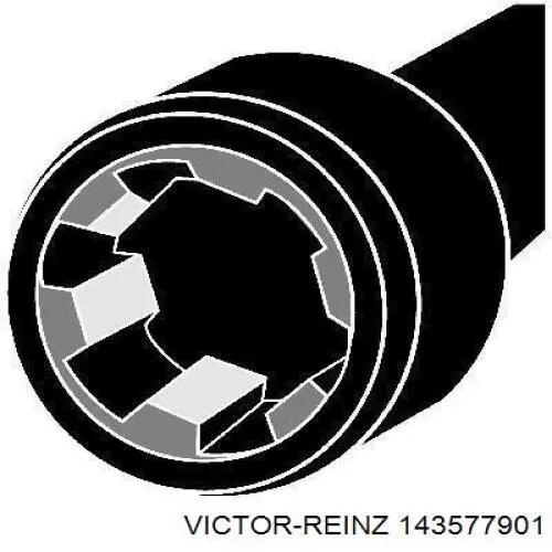 143577901 Victor Reinz болт головки блока циліндрів, гбц