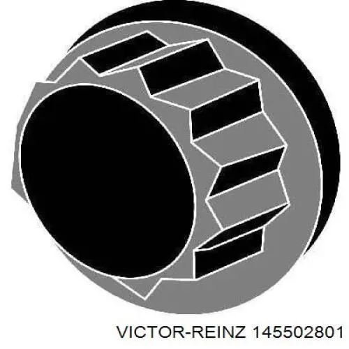 145502801 Victor Reinz болт головки блока циліндрів, гбц