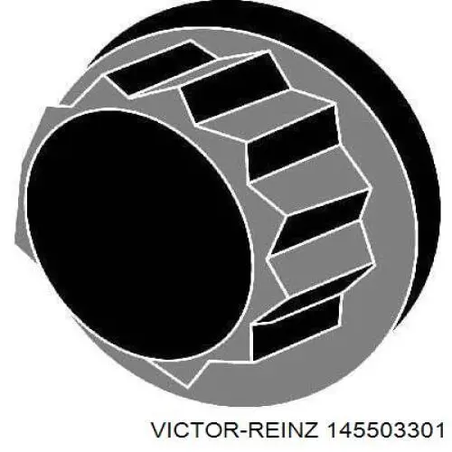 145503301 Victor Reinz болт головки блока циліндрів, гбц