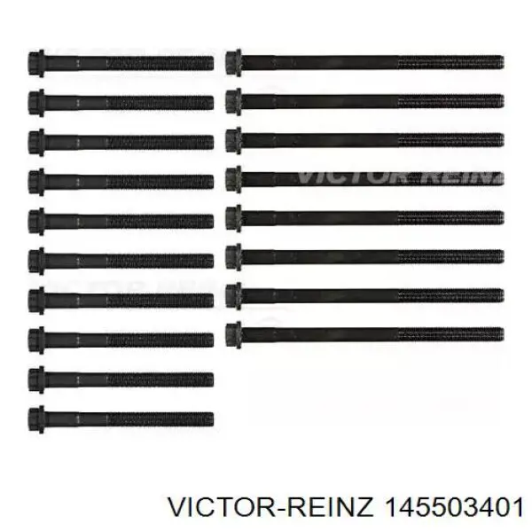145503401 Victor Reinz Болт кріплення головки блоку циліндрів
