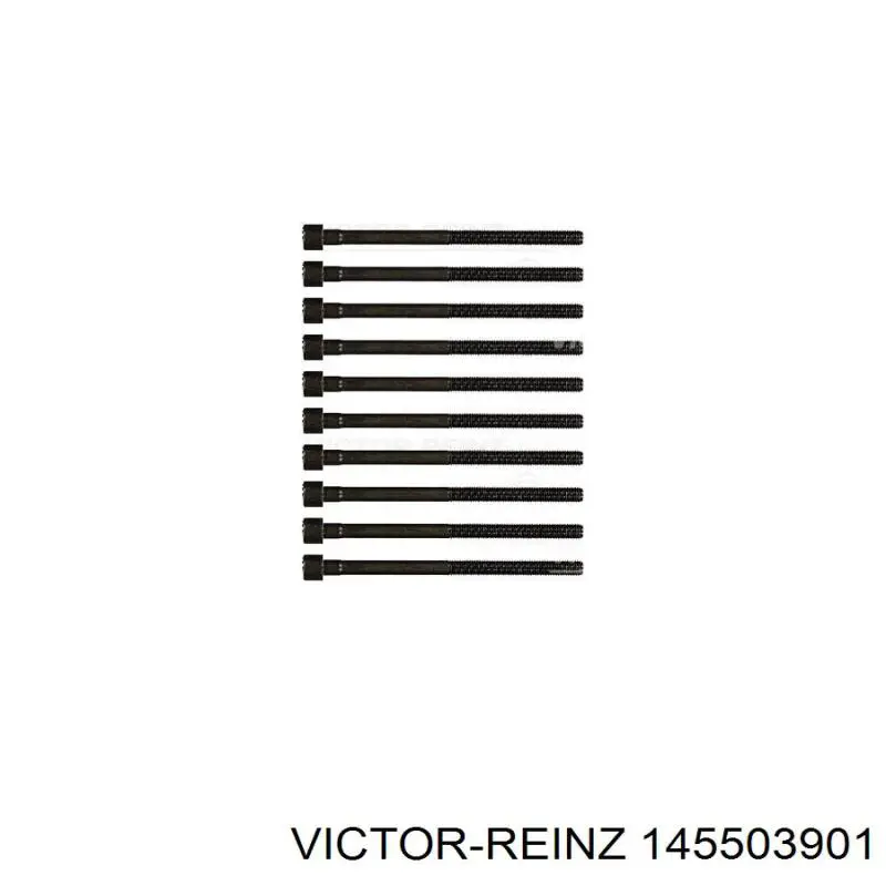 145503901 Victor Reinz болт головки блока циліндрів, гбц